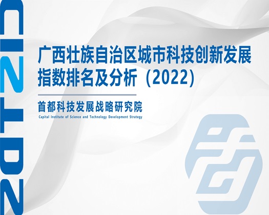 无套内射羞羞网站免费人口【成果发布】广西壮族自治区城市科技创新发展指数排名及分析（2022）